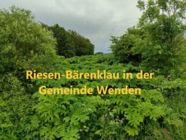 Foto: Thorsten Scheen, UWG Wenden